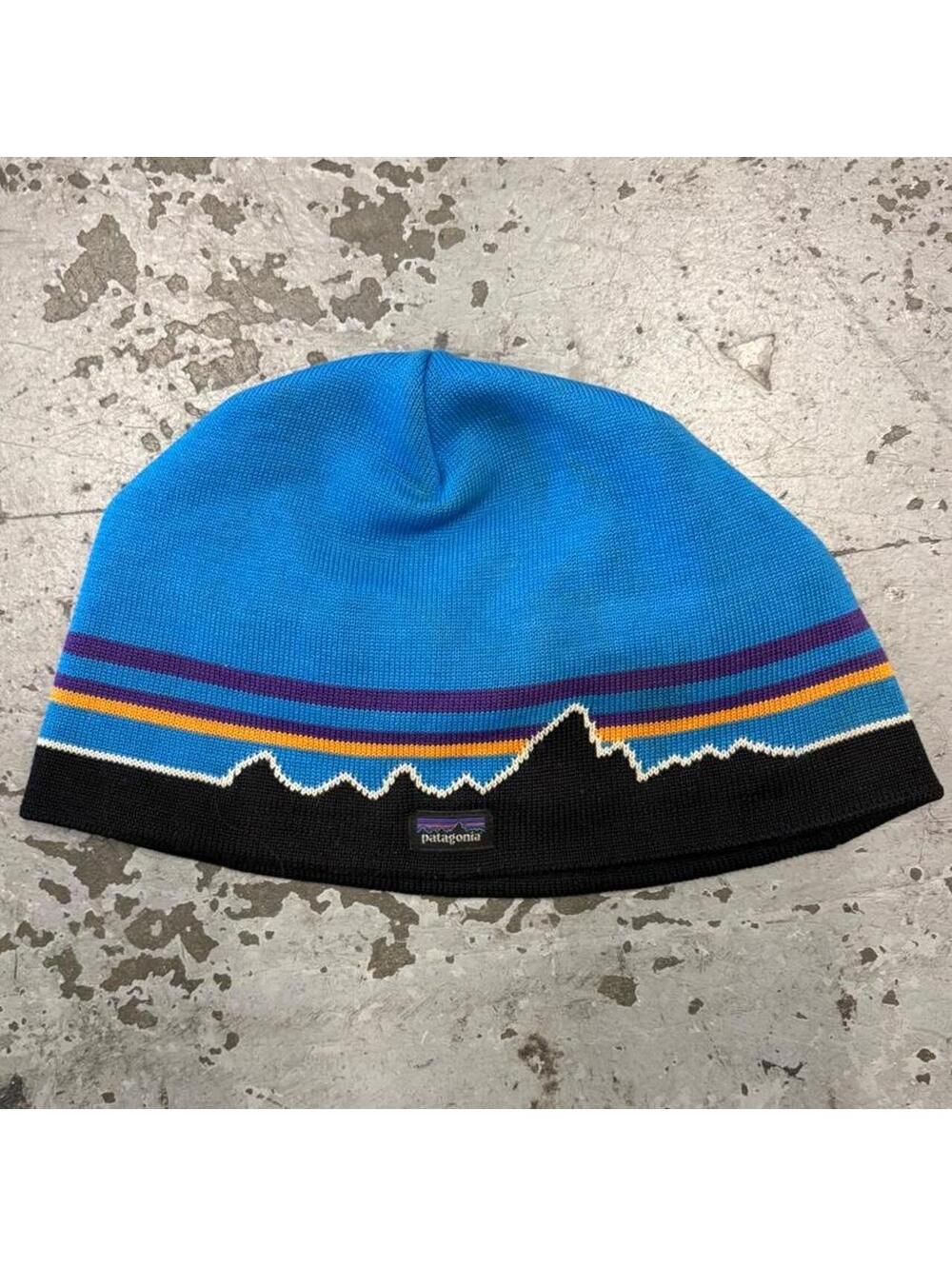 Patagonia Men's Blue and Multi Hat